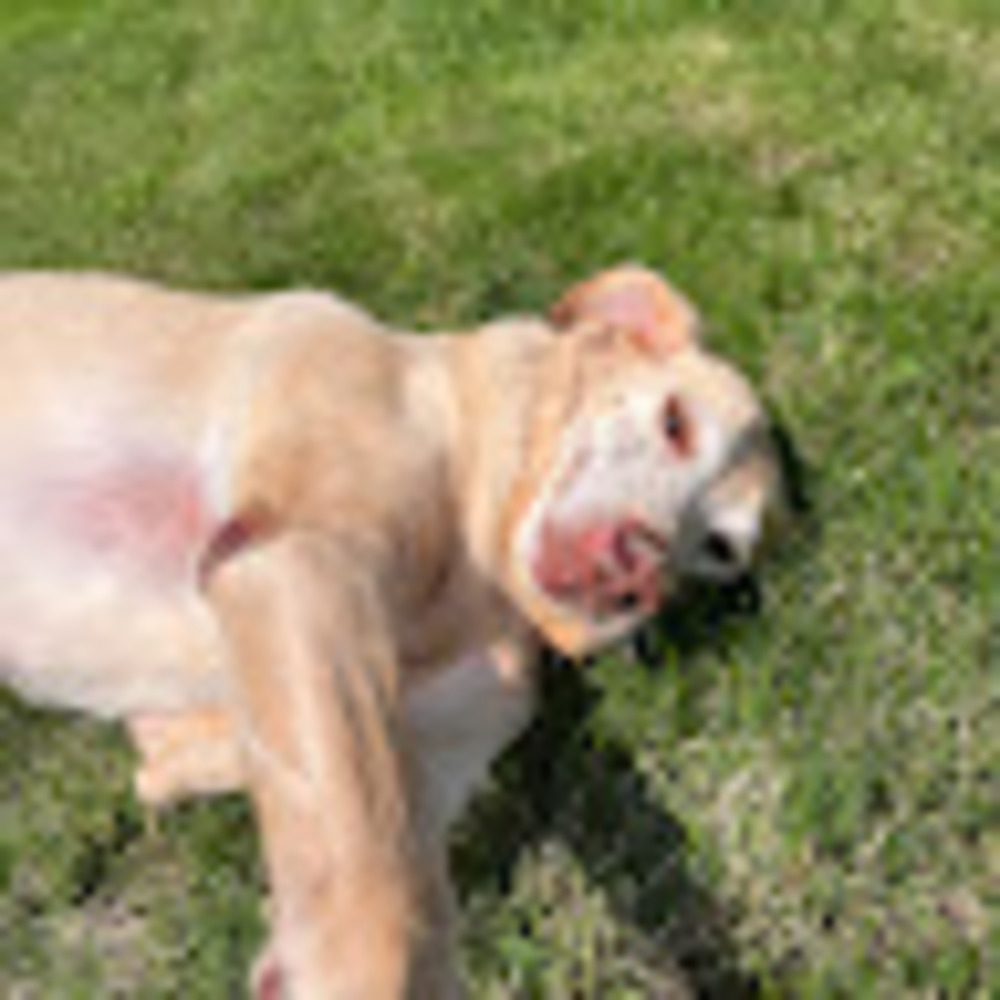 Meet your Posher, Kendal